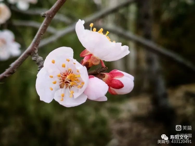 微信图片_20230414095923