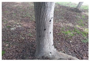 pagenumber_ebook=47,pagenumber_book=39