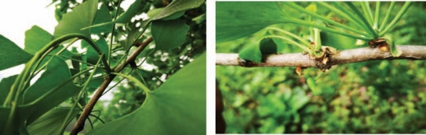 pagenumber_ebook=35,pagenumber_book=27