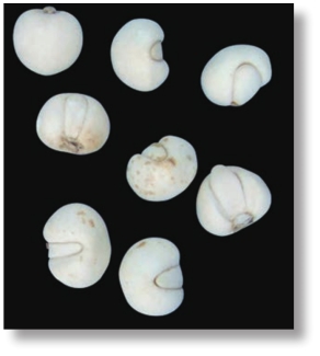 pagenumber_ebook=207,pagenumber_book=194