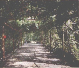 pagenumber_ebook=218,pagenumber_book=210