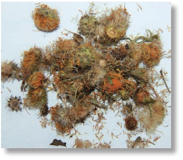 pagenumber_ebook=203,pagenumber_book=190