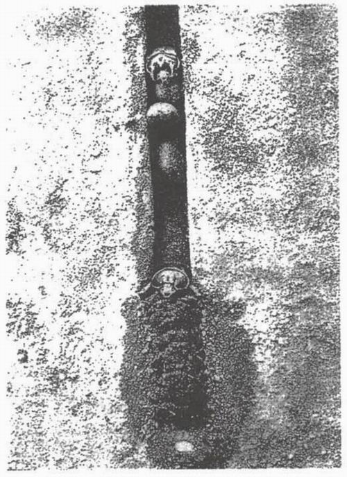 img24
