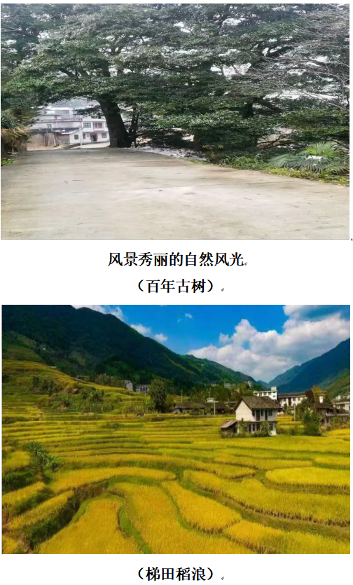 1732191550949 1732191550949.png