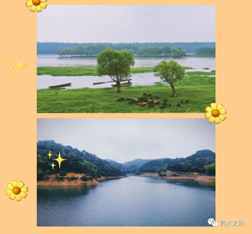 3 3.jpg?v=1765947536625