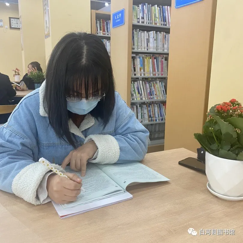 16 16.png?v=1765782738411