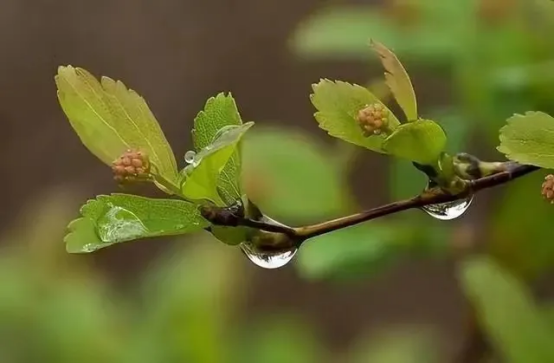 image image.png?v=1770186351456