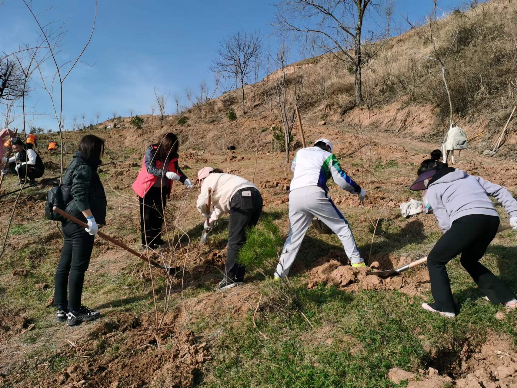 0230431f4756b4c9d2c8e9a14d0bc5b 0230431f4756b4c9d2c8e9a14d0bc5b.jpg?v=1763142747641