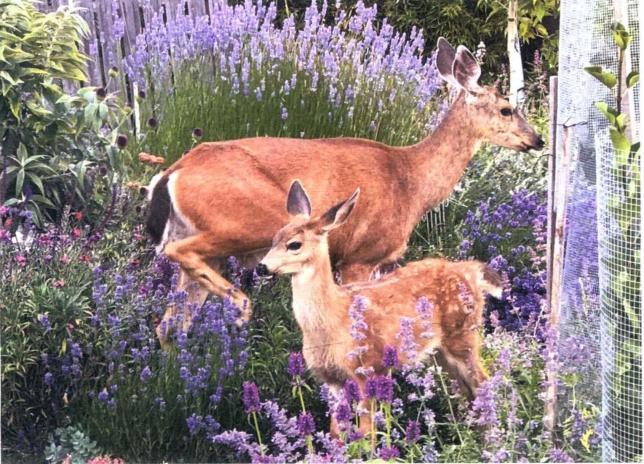 pagenumber_ebook=19,pagenumber_book=12