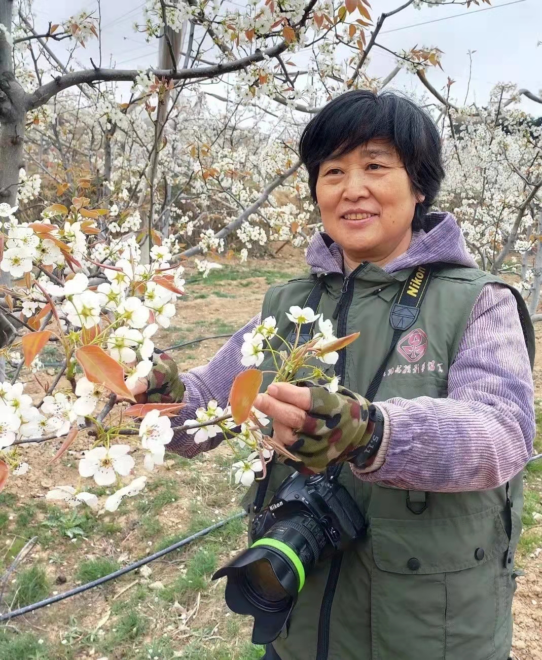 a9b1011cb575747dd37940b6afe3a0a a9b1011cb575747dd37940b6afe3a0a.jpg