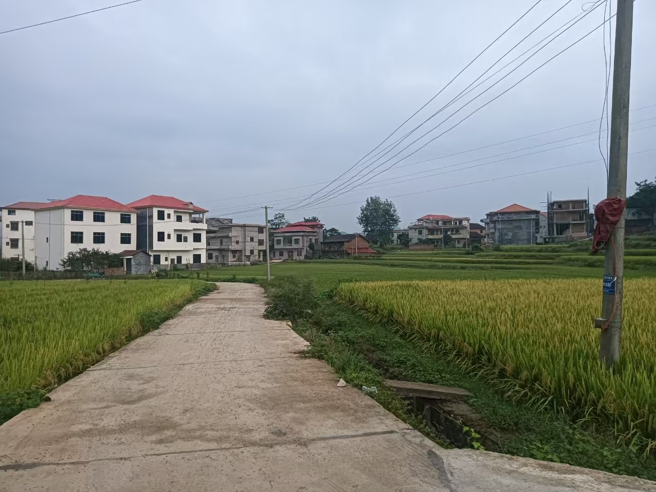 b099bdd10f6658ae59ce01b230b8edd