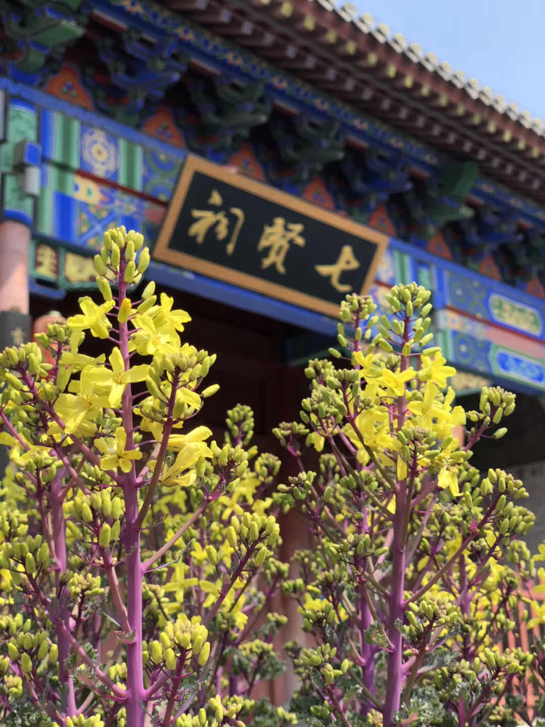 微信图片_20210322155108 微信图片_20210322155108.png