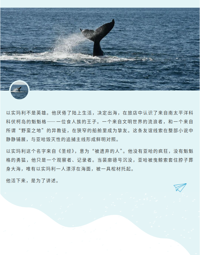 image.png?v=1792916069928