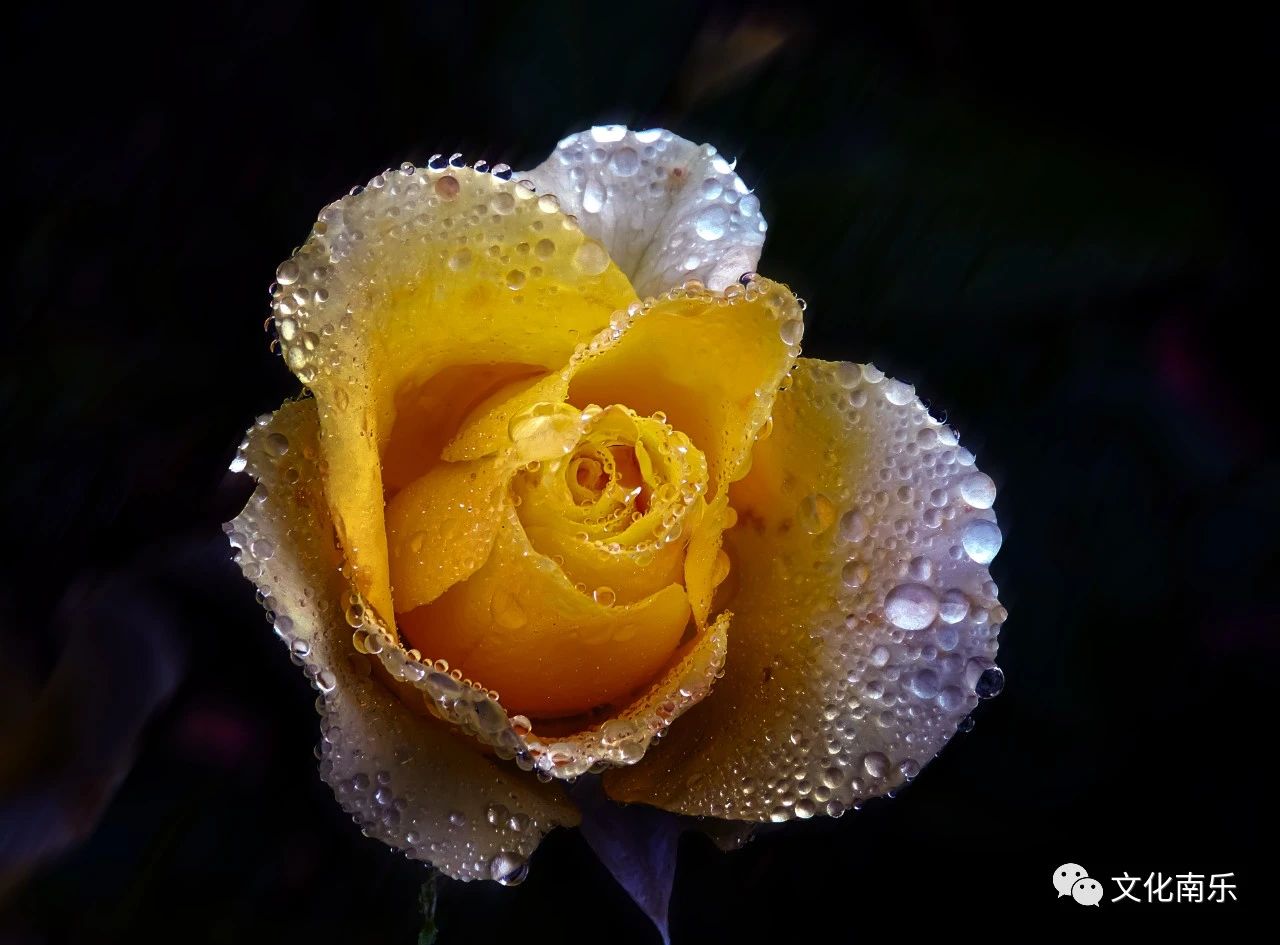 dbfbd62c96cd017c38a18976609579fc dbfbd62c96cd017c38a18976609579fc.jpg