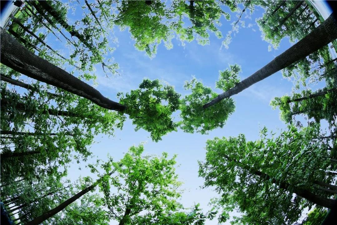 微信图片_20200727091025