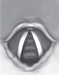 pagenumber_ebook=199,pagenumber_book=191