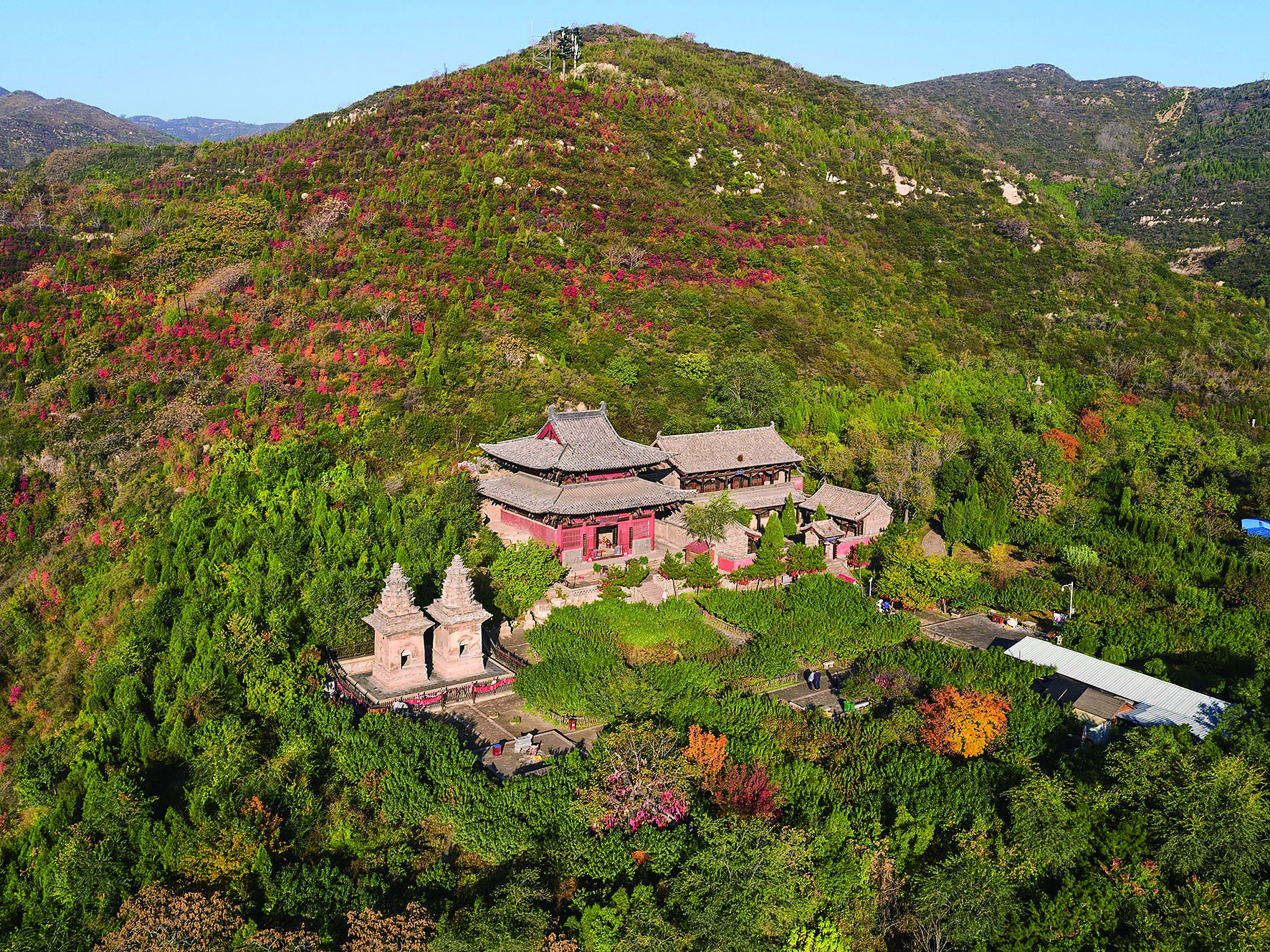 连理塔 连理塔.jpg