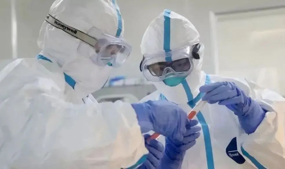 2 2.jpg?v=1765926264498