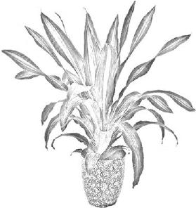 pagenumber_ebook=271,pagenumber_book=271