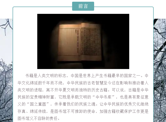 image.png?v=1754275719565