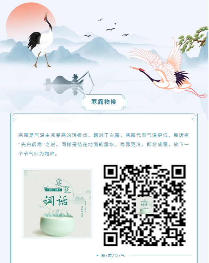 image.png?v=1762099880650