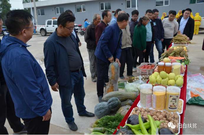 7b0de0080cb7d91bf190345fe3c419e 7b0de0080cb7d91bf190345fe3c419e