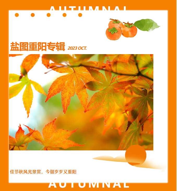 image image.png?v=1763584839365