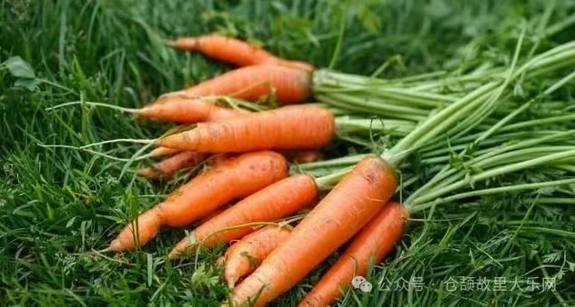 微信图片_2025-08-20_091448_896 微信图片_2025-08-20_091448_896.jpg