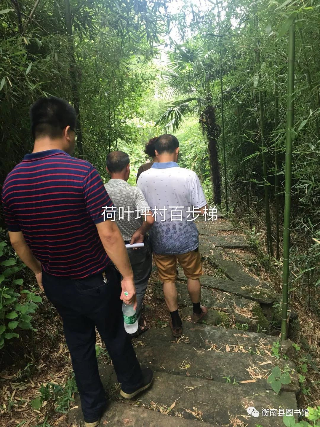 1547210260(1) 1547210260(1).jpg?v=1762242854094