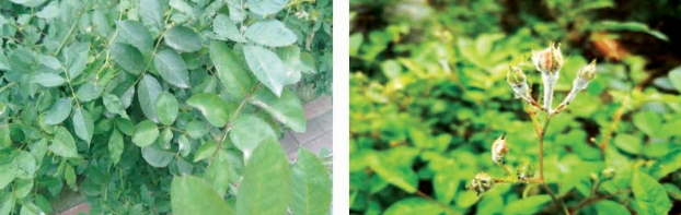 pagenumber_ebook=74,pagenumber_book=66