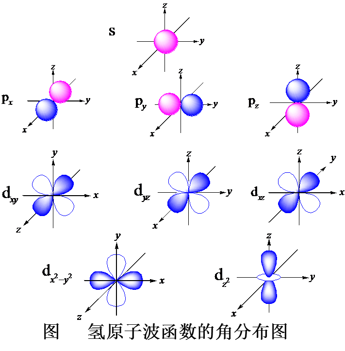 (1)除  s 轨道外,波函数的角分布图有正,负号之分,而电子云的角分布