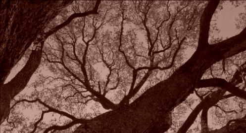 pagenumber_ebook=388,pagenumber_book=376