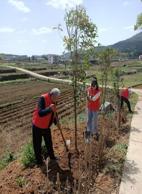 图片 7 图片 7.png