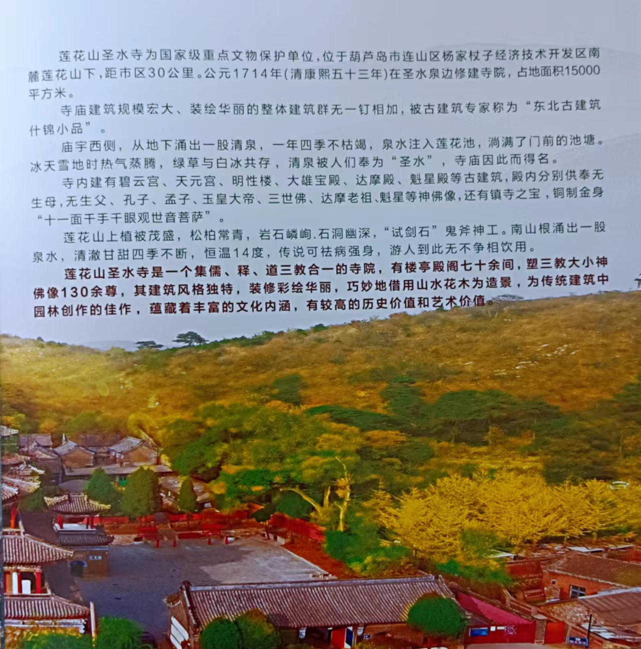 image.png?v=1746324740029