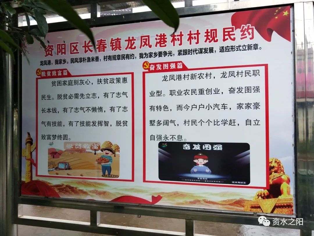 1 1.jpg?v=1765880421459