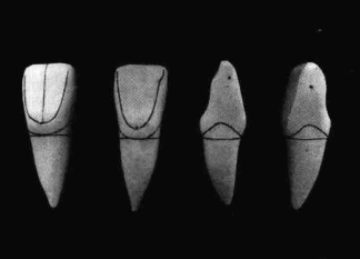 pagenumber_ebook=195,pagenumber_book=186