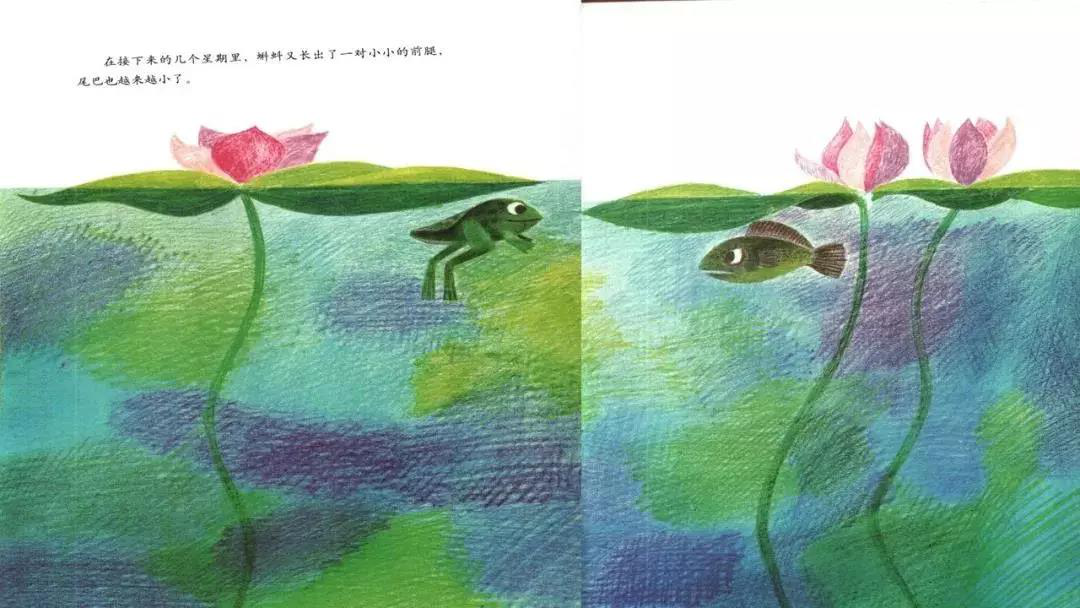 图片8.png?v=1746233661174