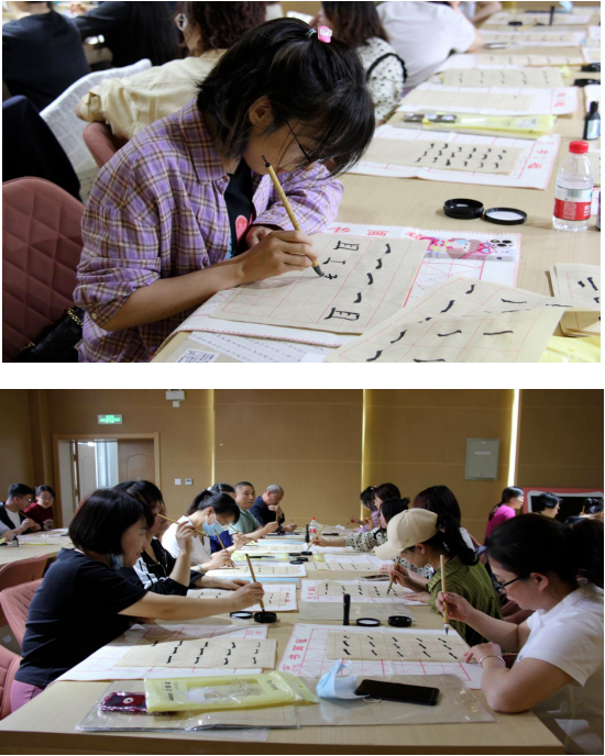 image image.png?v=1763569525293