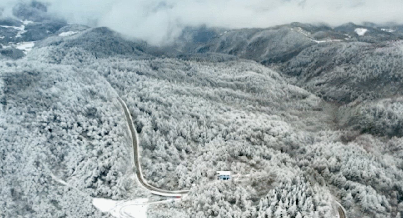 12312111 12312111.jpg