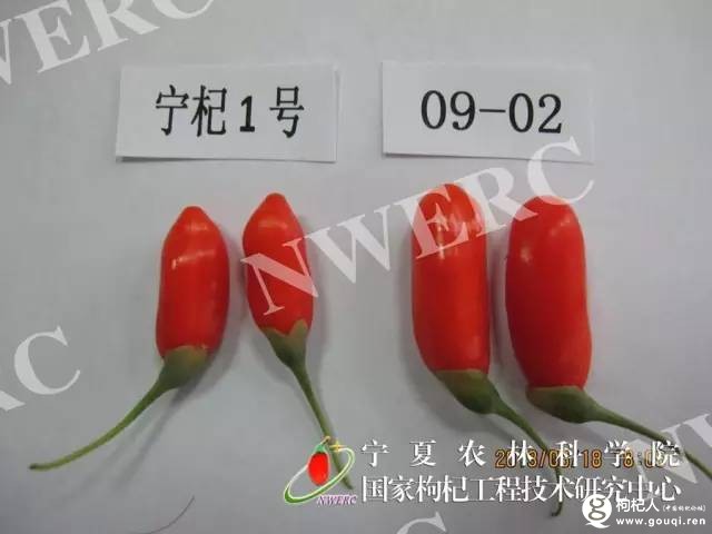 20170608100818_5rmvb75jtw.jpg?v=1747598474462