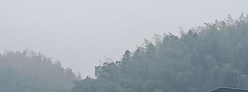 图片 11 图片 11.png