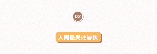 image.png?v=1750237167764