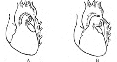 pagenumber_ebook=353,pagenumber_book=353