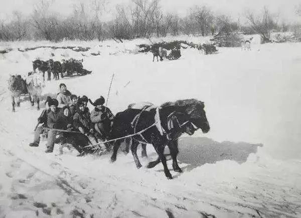 436940ac9e2ae469e5c4bca6c57a9bd1 436940ac9e2ae469e5c4bca6c57a9bd1.jpg