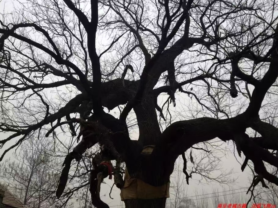 微信图片_2025-08-20_091356_311 微信图片_2025-08-20_091356_311.jpg