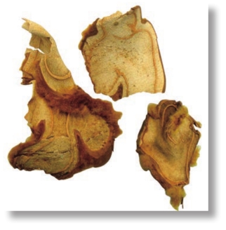 pagenumber_ebook=104,pagenumber_book=91