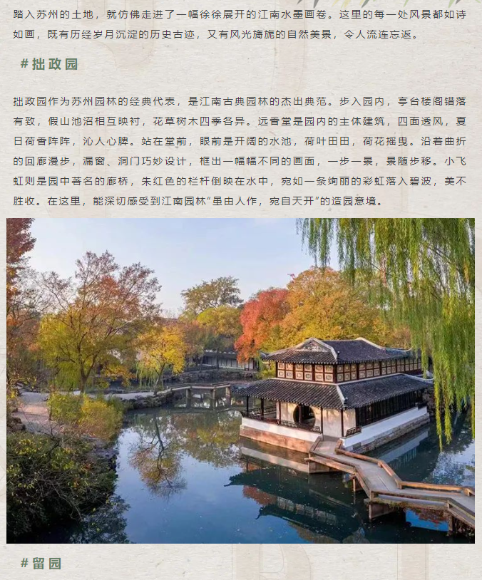 image.png?v=1751562034058
