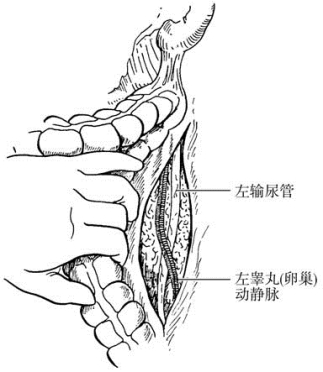 pagenumber_ebook=391,pagenumber_book=376