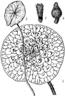 pagenumber_ebook=237,pagenumber_book=237