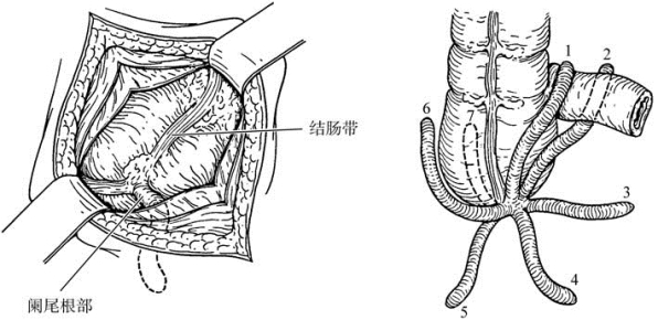 pagenumber_ebook=544,pagenumber_book=529